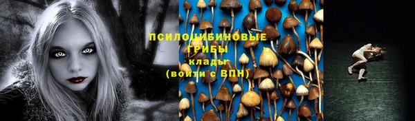 первитин Ладушкин