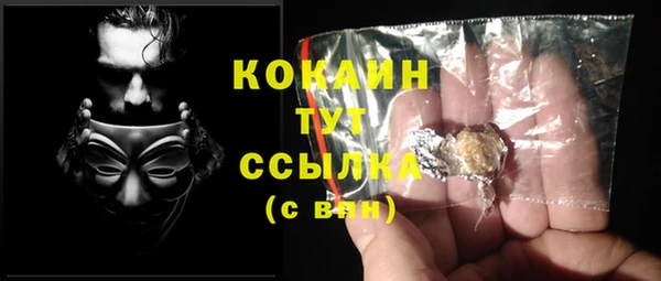 мяу мяу мука Кулебаки
