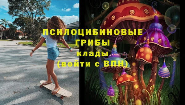 первитин Ладушкин